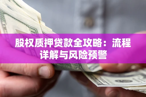 北京股权质押贷款全攻略：流程详解与风险预警