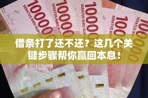 北京借条打了还不还？这几个关键步骤帮你赢回本息！