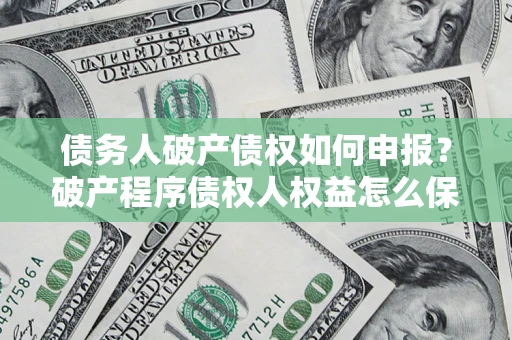 北京债务人破产债权如何申报？破产程序债权人权益怎么保障？