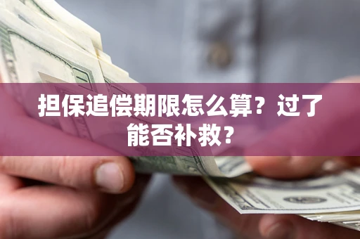 北京担保追偿期限怎么算？过了能否补救？